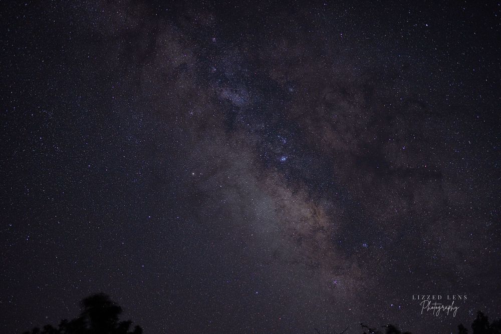 Stunning Milky Way galaxy visible in a dark night sky above silhouetted treetops.
