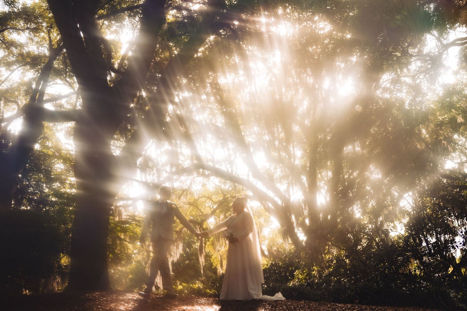 A couple embrace in a romantic moment during golden hour sunlight with autumn foliage in the background.