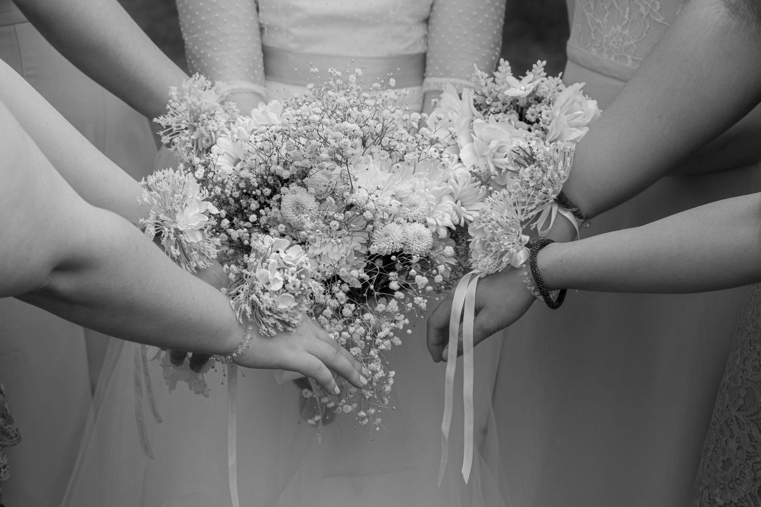 Bride and her maids