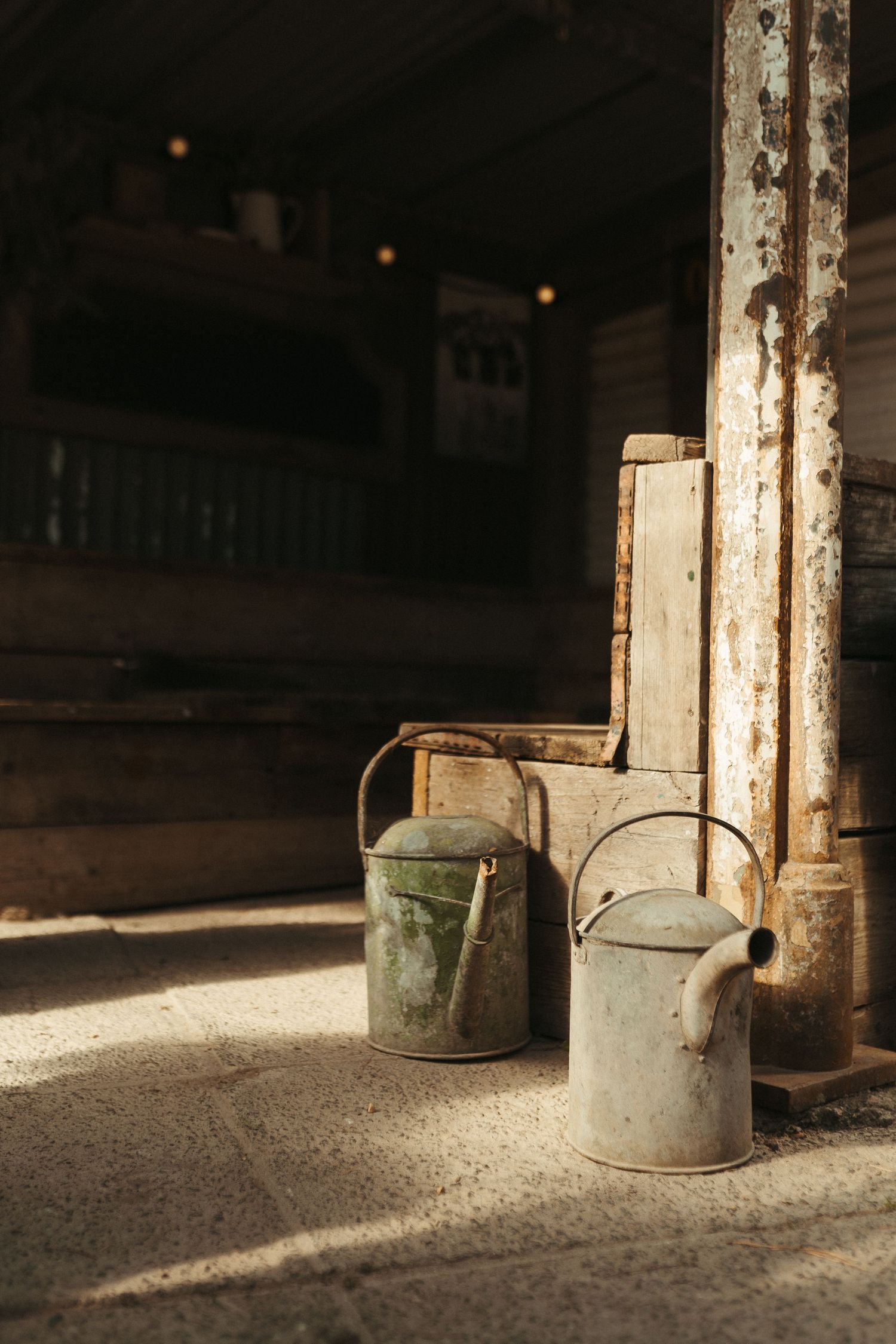 Two rustic metal watering cans sit on a sunlit barn floor beside weathered wooden boards.