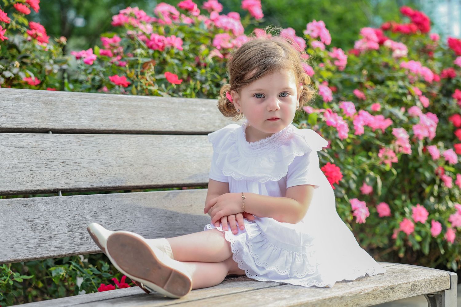 Adorable little girl in white dress sitting on wooden bench surrounded by blooming pink roses.