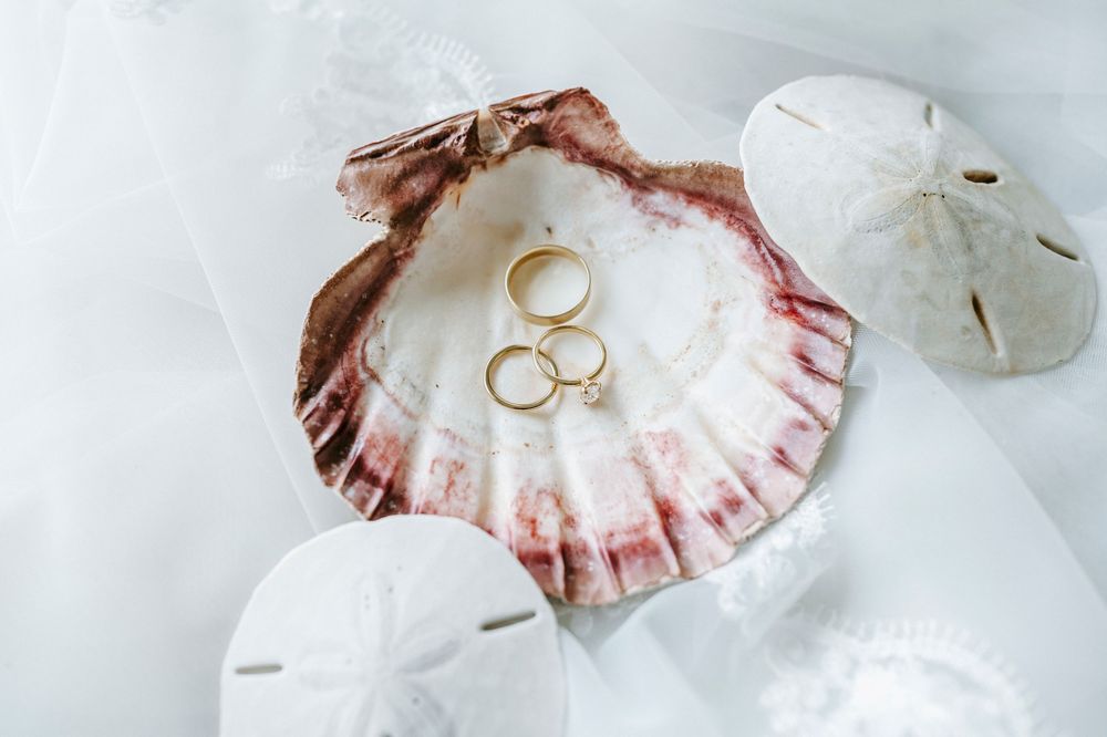 Gold wedding rings and necklace displayed in decorative seashell with sand dollars on white fabric.