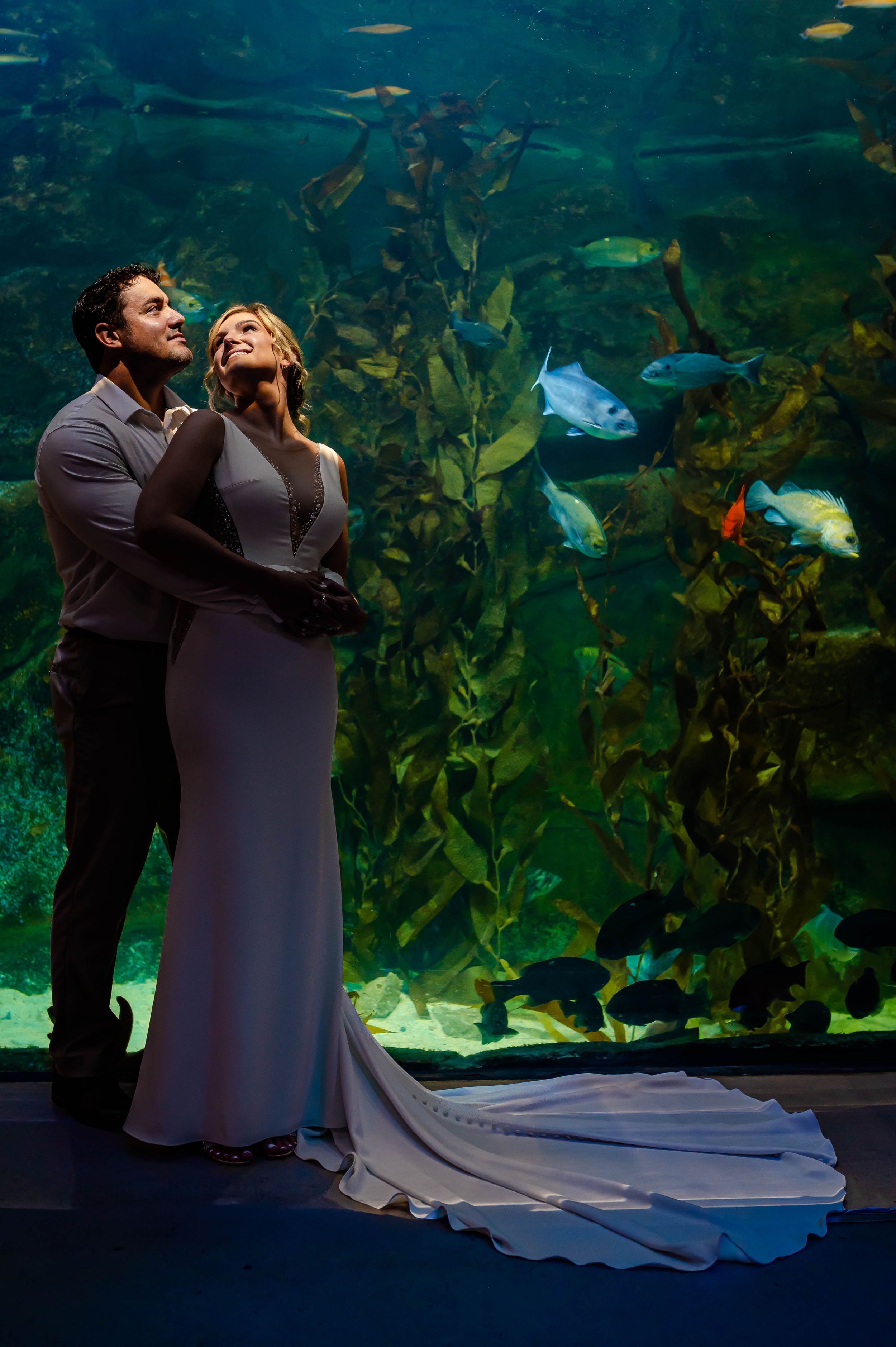 Bride and groom embrace before a stunning aquarium tank filled with fish and kelp at their wedding.