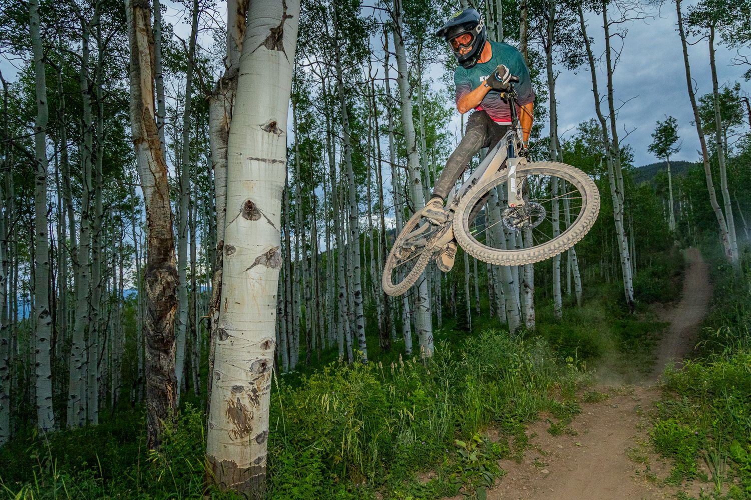 Mountain biker performing a aerial jump trick on a dirt trail through a white aspen forest on a sunny day.