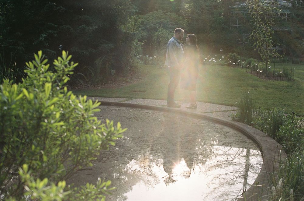 Couple standing on a curved garden path beside a reflective pond, surrounded by lush greenery in golden sunlight.