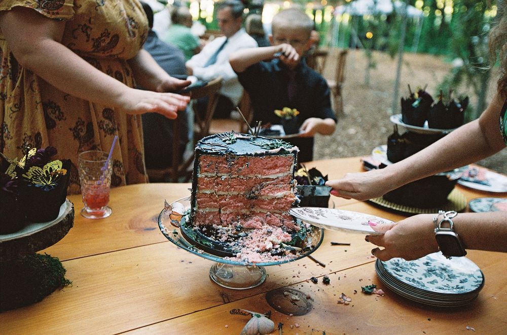 People cutting a layered pink cake with dark frosting on a wooden table at an outdoor garden party.