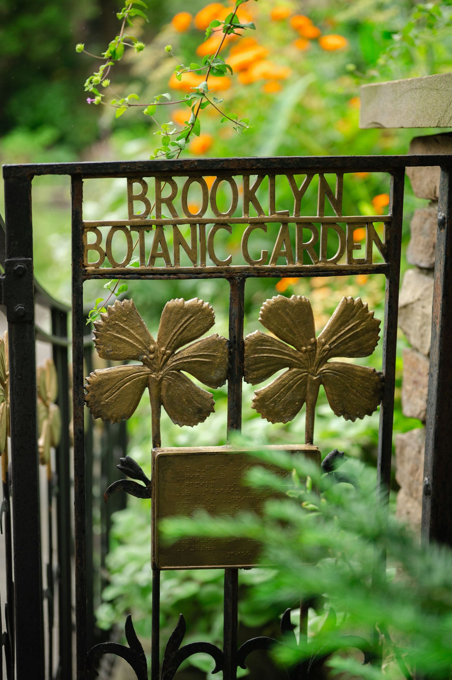 Iron gate with Brooklyn Botanic Garden sign and decorative butterfly motifs, surrounded by lush green foliage and orange flowers.