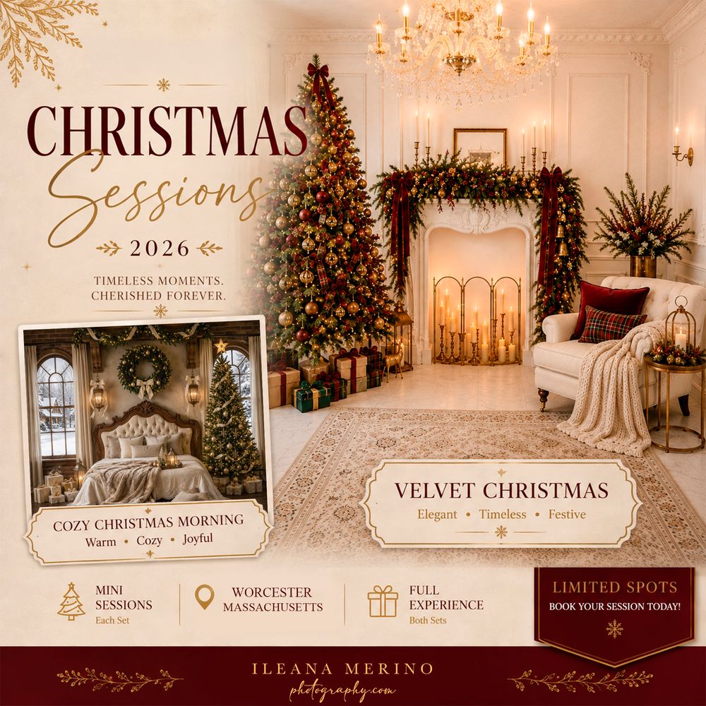 Elegant Christmas photography sessions 2026 in Worcester, MA, featuring cozy and velvet holiday setups with festive decor.