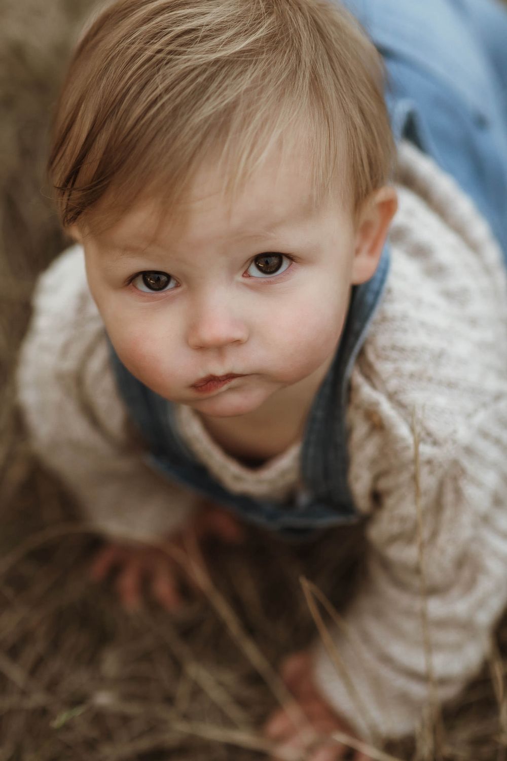 A toddler in denim overalls and a knit sweater looks up at the camera while sitting on dry grass outdoors.