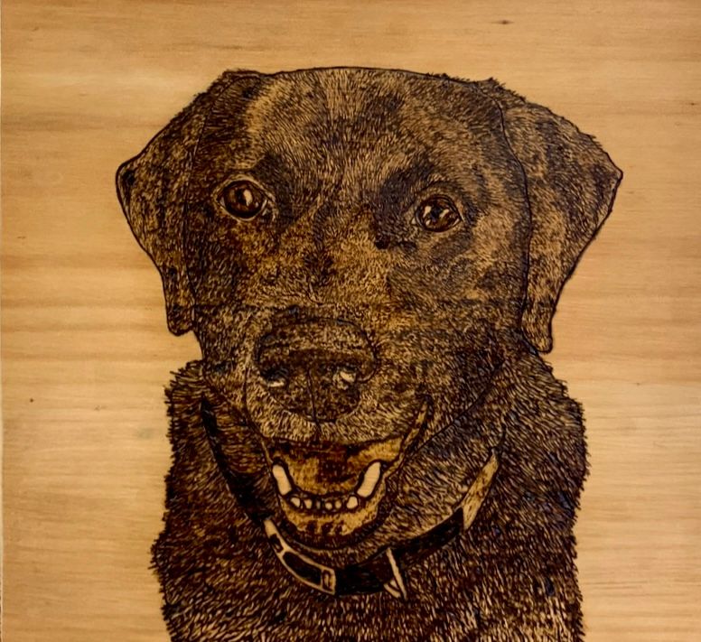 Pyrography Pet Portrait of a Labrador by Woodland  Workbench