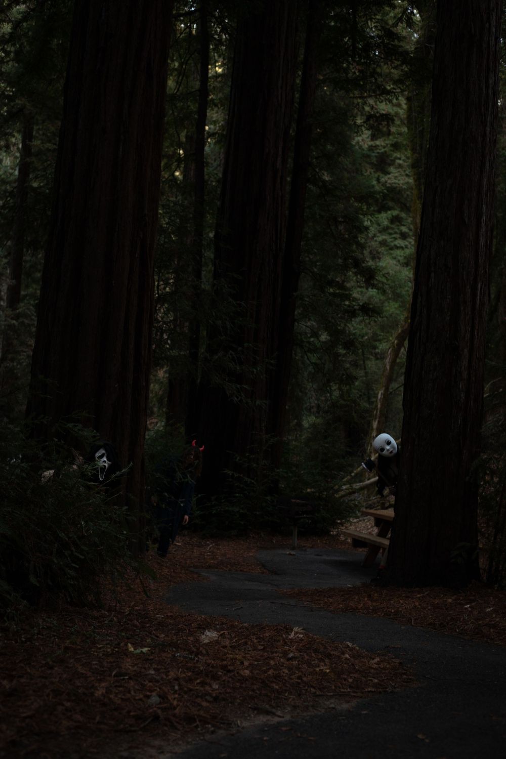 A dark wooded path with mysterious masked figures lurking among tall trees.