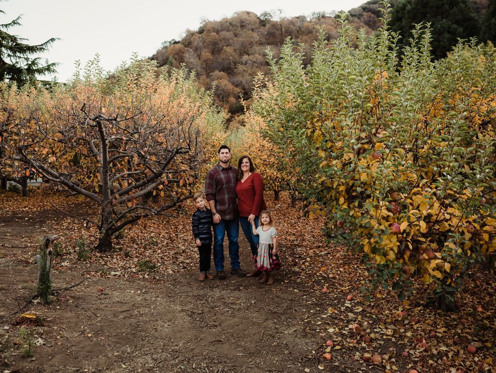 A scenic autumn orchard path lined with colorful trees and fallen leaves on a peaceful afternoon.