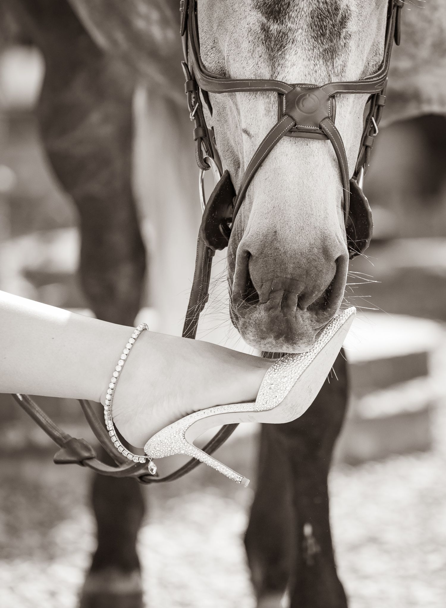 Two riders stand with their animals - a dog and a dark horse relaxing outdoors in a black and white photo.