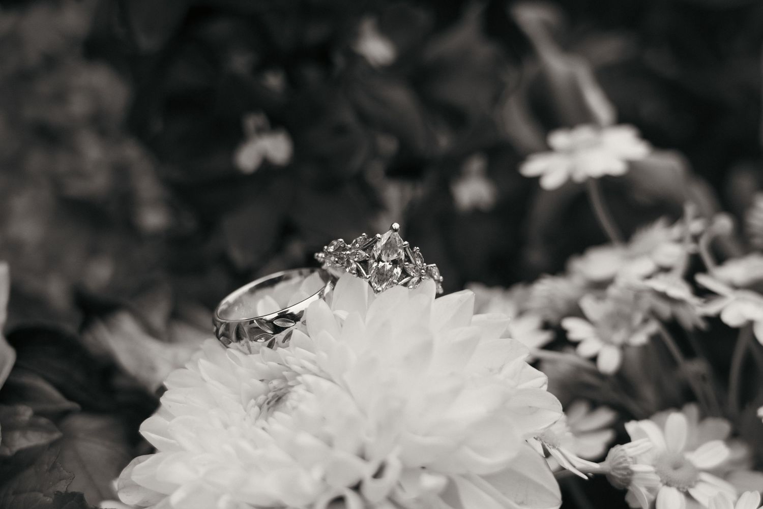 Close up black and white photo of wedding rings placed on flowers. Captured by Savvy Photography