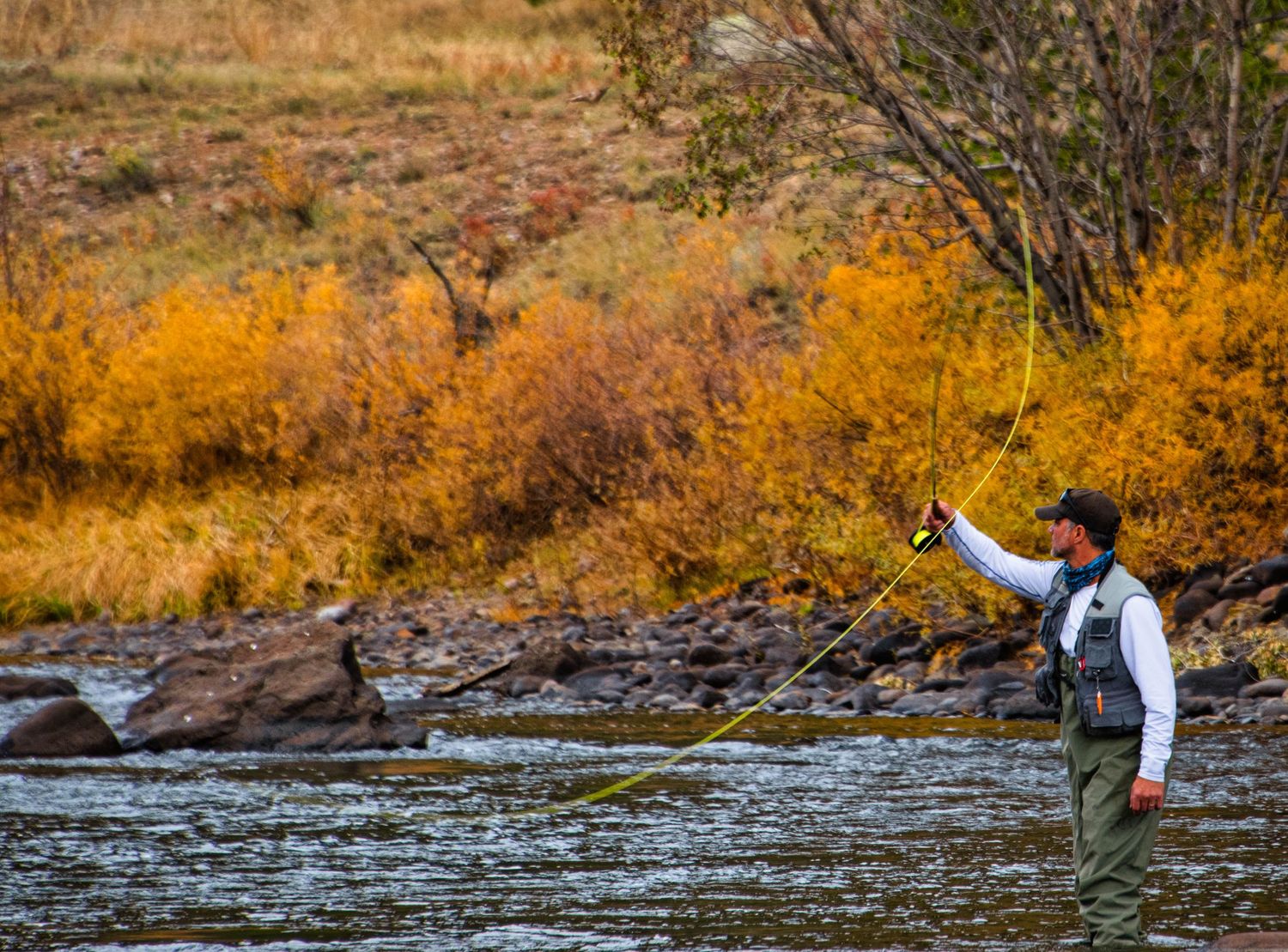 A person fly fishing in a river surrounded by vibrant autumn foliage and golden trees along the riverbank.
