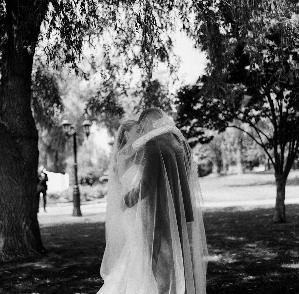 A romantic wedding scene under trees with sunlight filtering through branches and flowing white veils.