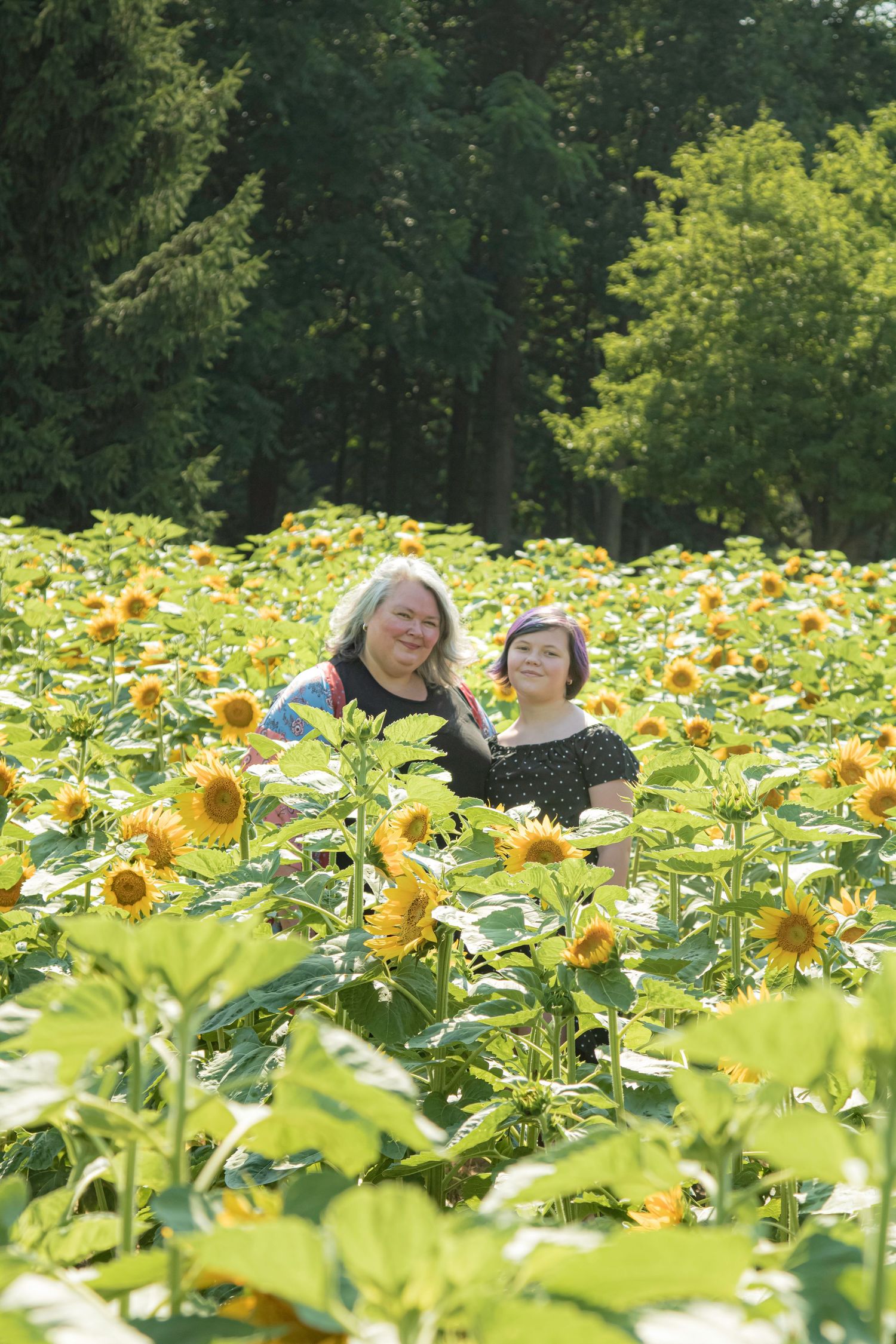 Two women smiling together in a vibrant sunflower field with lush green trees in the background on a sunny day.