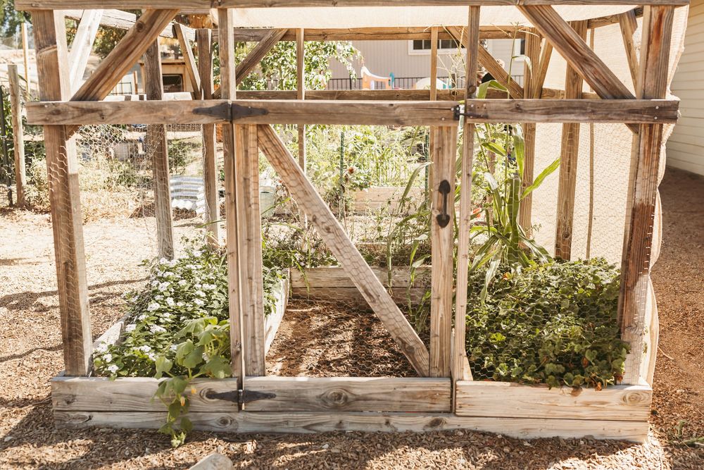 Rustic wooden gazebo with natural timber beams and supports in an outdoor garden setting.
