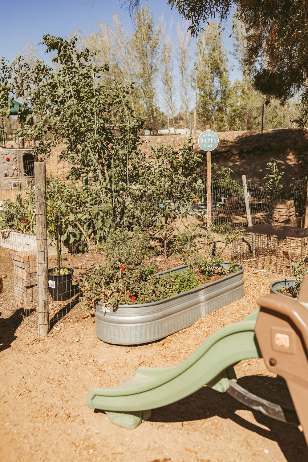 Outdoor garden area with raised metal planter beds and a green plastic slide on brown mulch ground.
