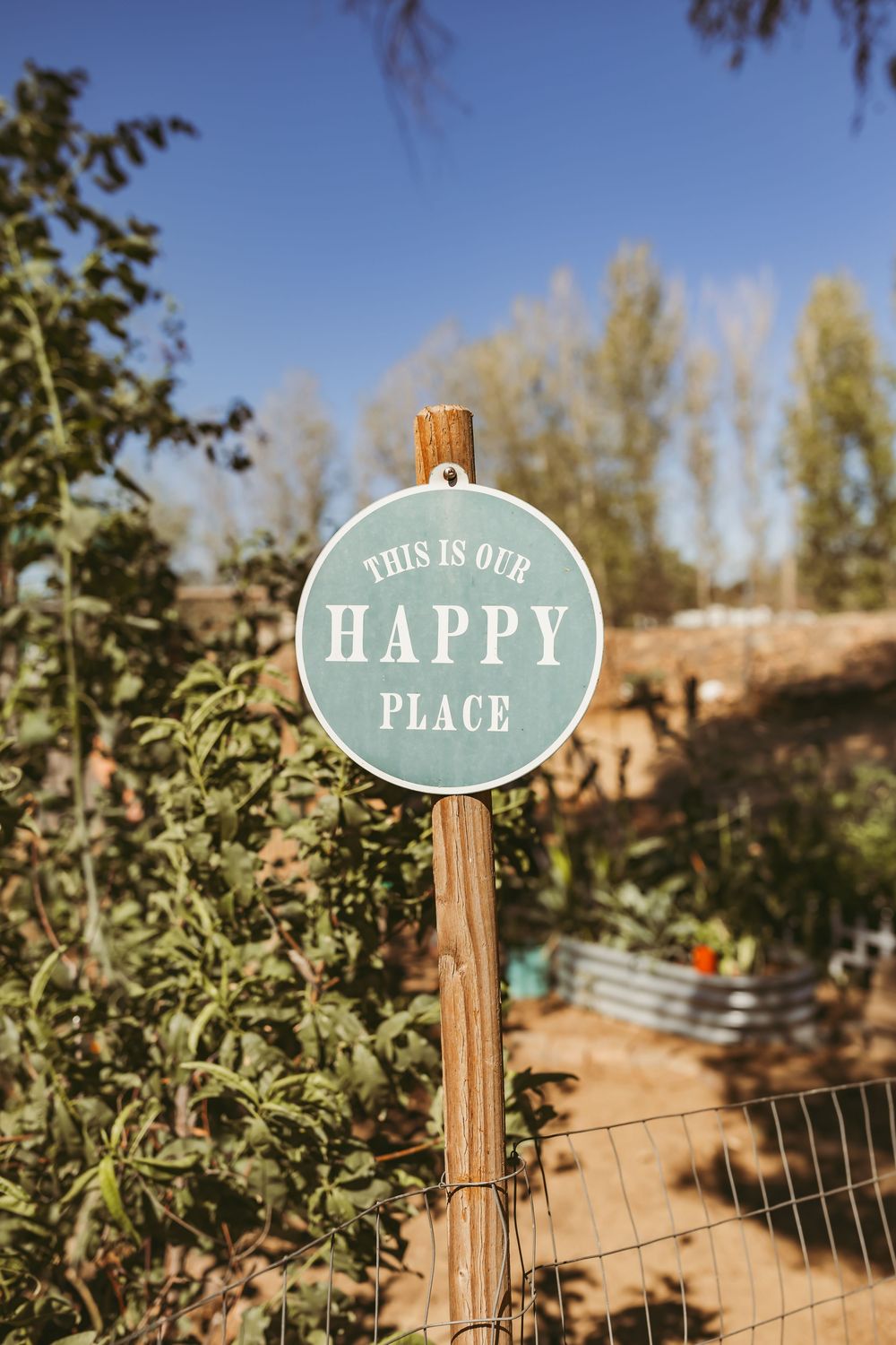 Decorative teal signs mounted on wooden posts in a garden reading 'THIS IS OUR PLACE' and 'HAPPY'.