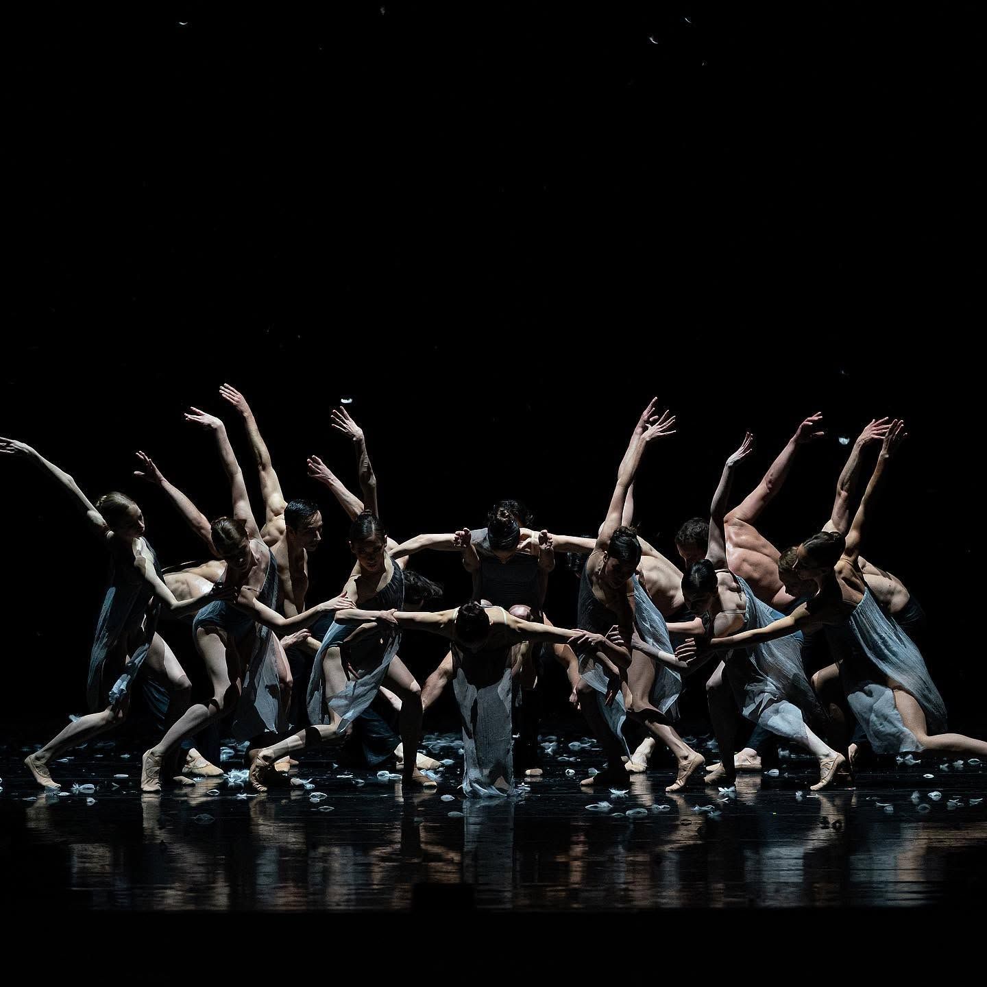 A large group of contemporary dancers perform dramatically on a dark stage with dramatic lighting.