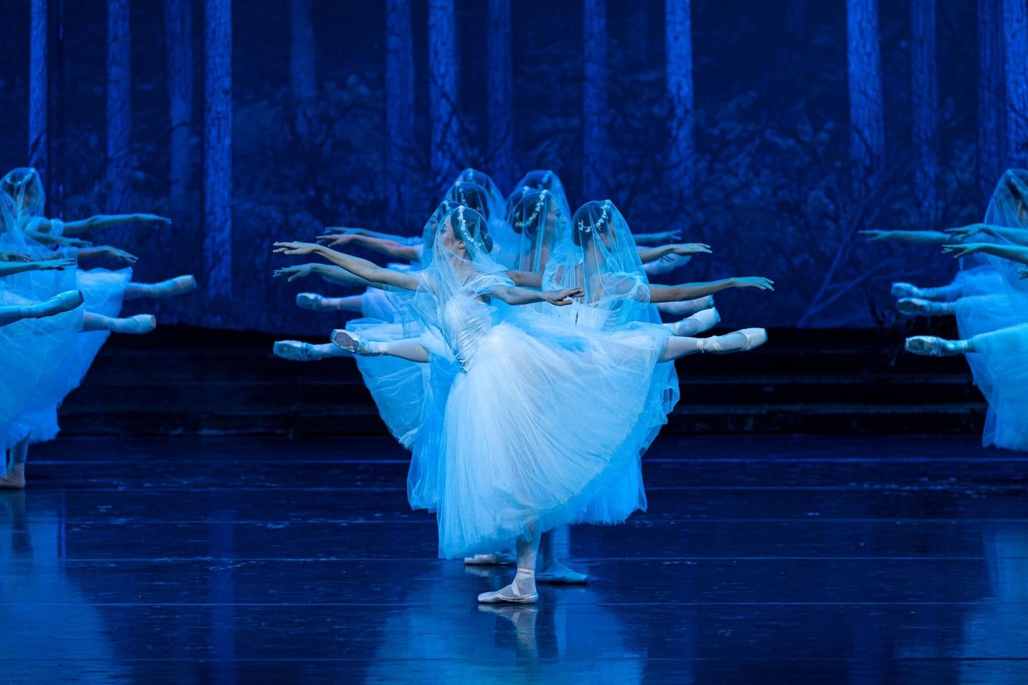 Corps de ballet dancers in white tutus perform a synchronized ensemble scene under moody blue stage lighting.