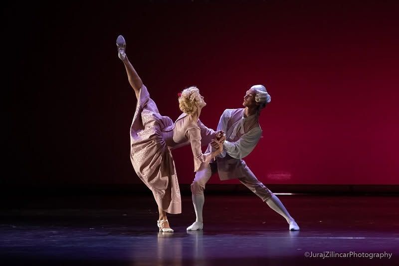 Two ballet dancers perform an elegant contemporary duet on a rose-lit stage in flowing costumes.