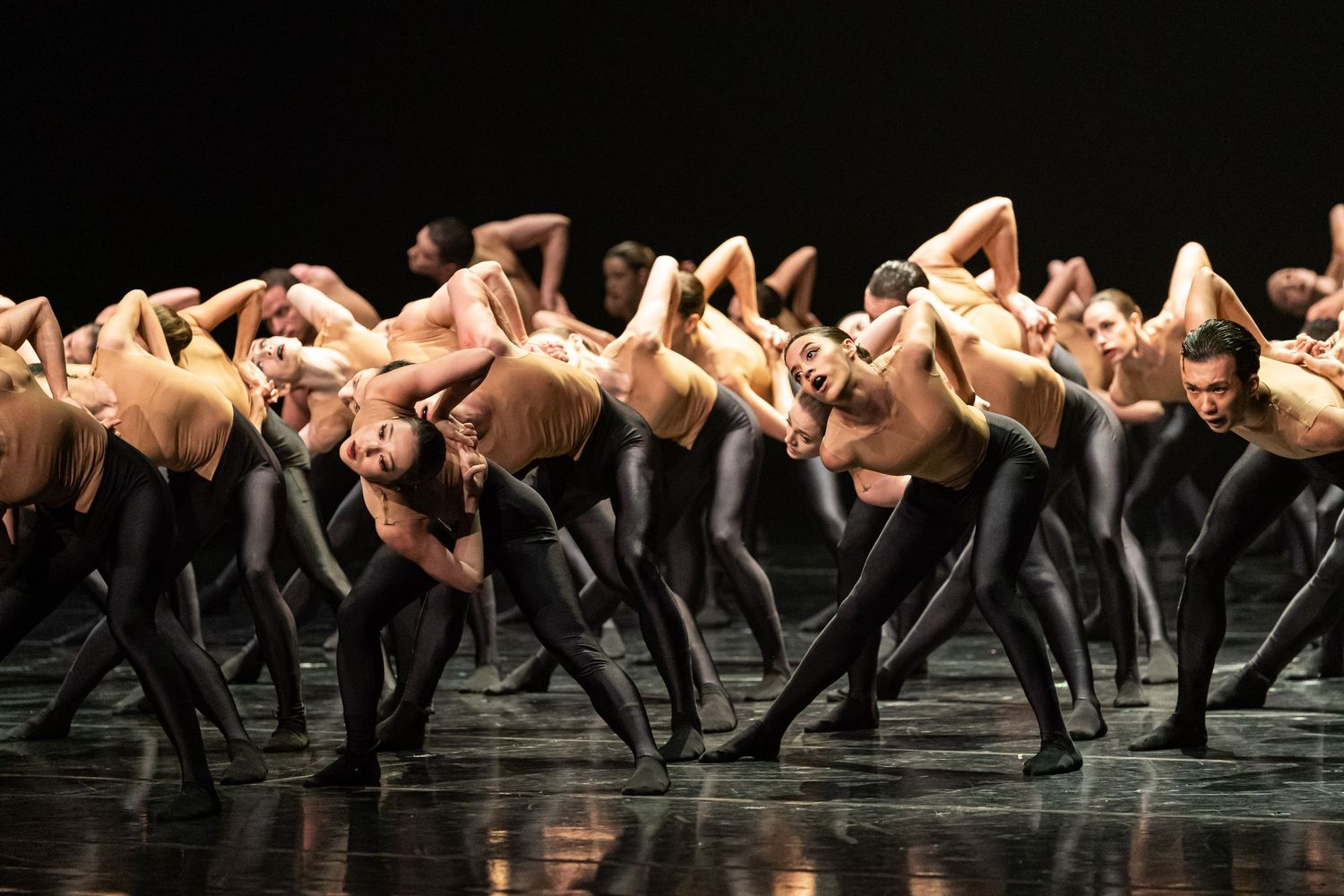 Ballet photography, dance photographer, performing arts photography, theatre photography, ballet dance, dance photography , Bolero