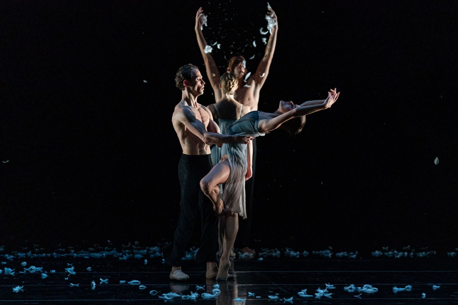 Ballet photography, dance photographer, performing arts photography, theatre photography, ballet dance, dance photography , Murmuration