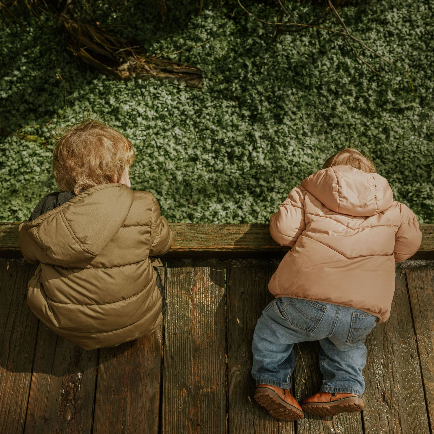 NWA Family Photographer