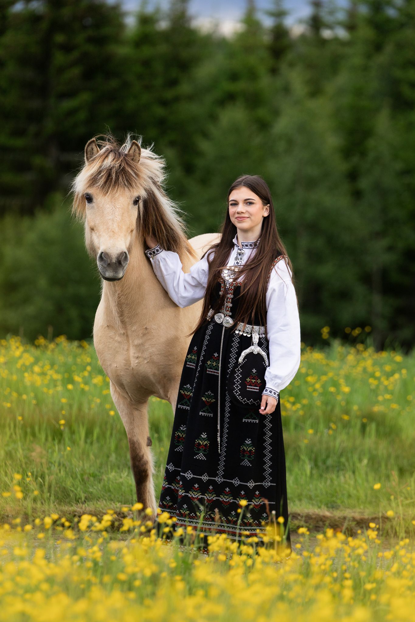 Young woman in traditional Norwegian bunad dress standing beside a palomino fjord horse in a yellow wildflower meadow.