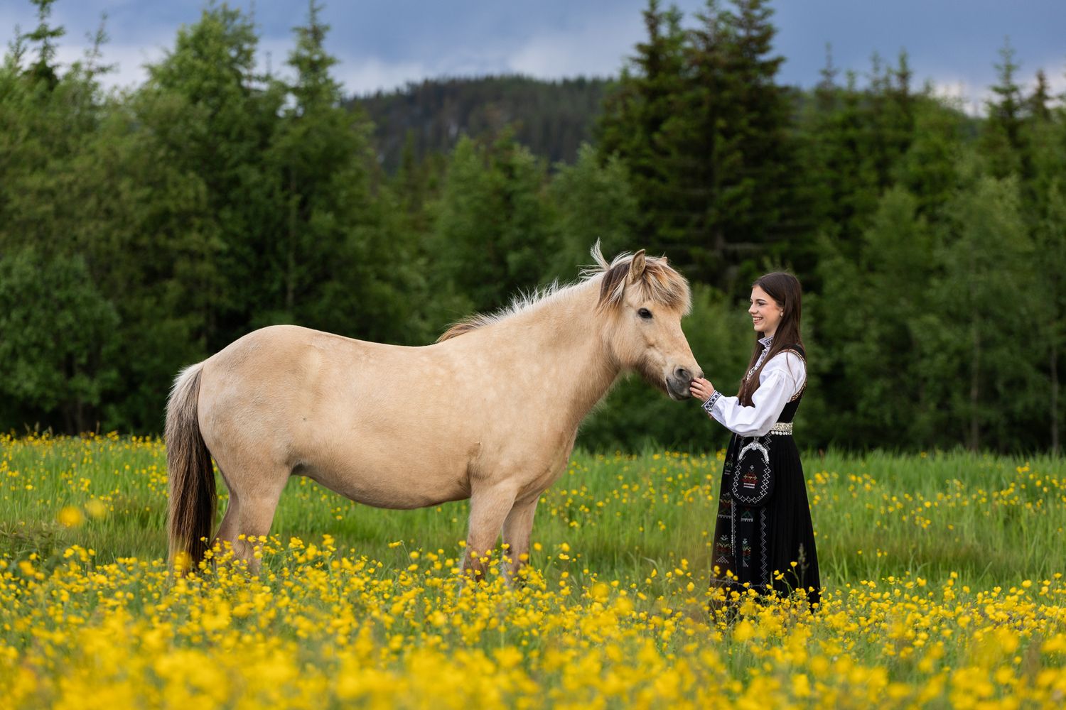 Woman in traditional dress stands with a palomino horse in a yellow wildflower meadow with green forest backdrop.