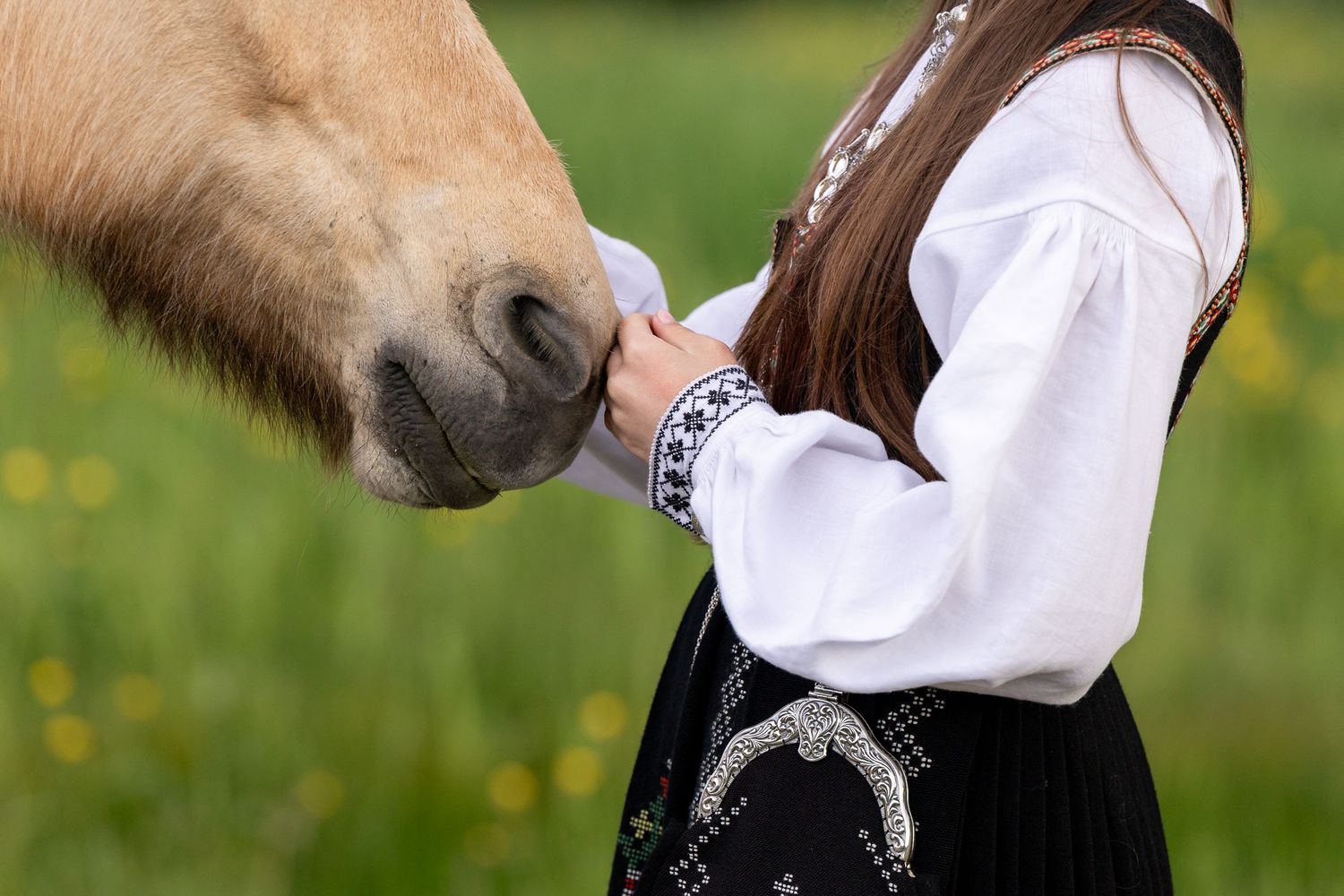 A young girl in traditional folk costume feeds a palomino horse in a green meadow.