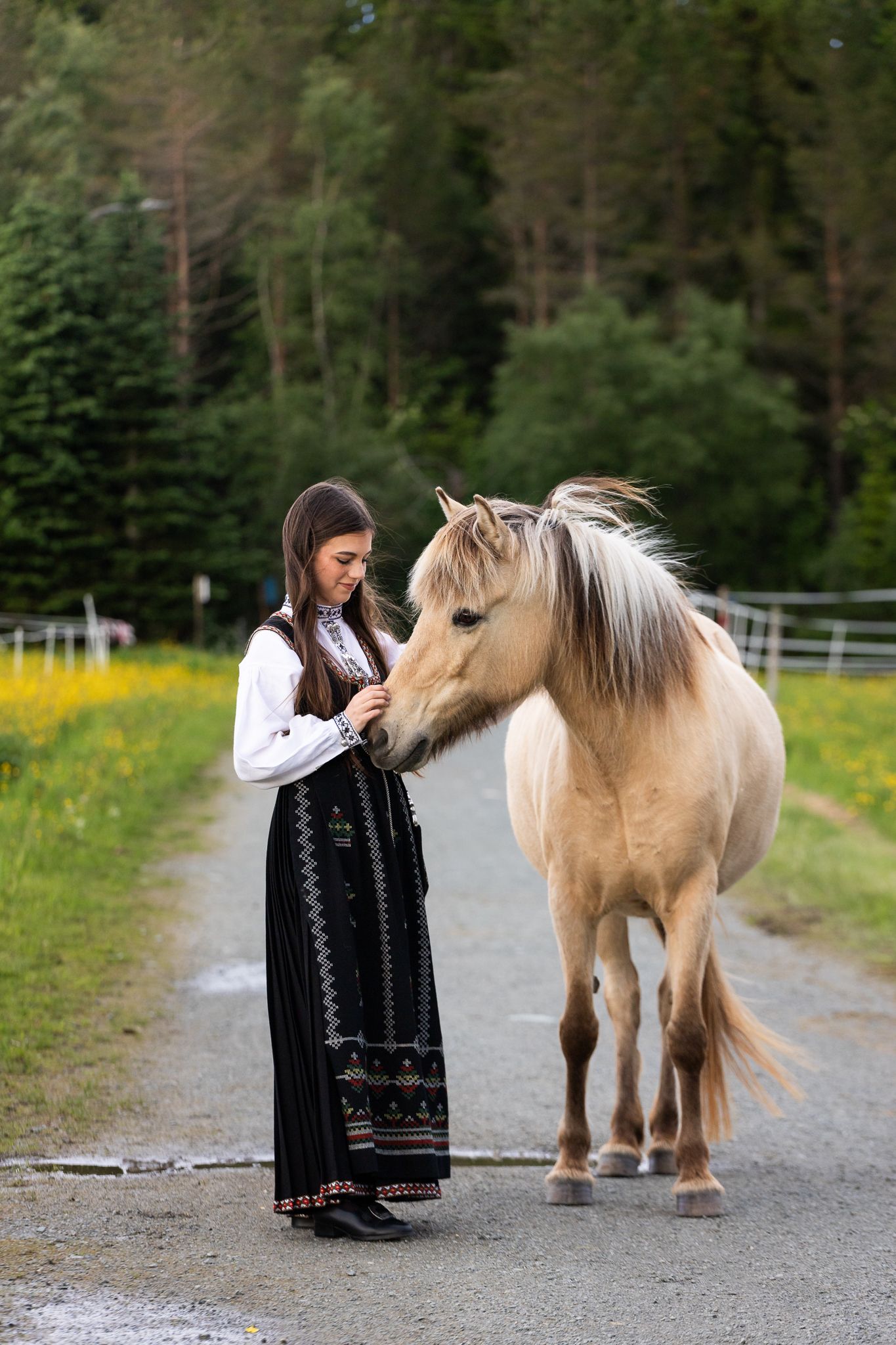 Young woman in traditional Norwegian bunad dress gently feeding a palomino horse on a scenic rural path.