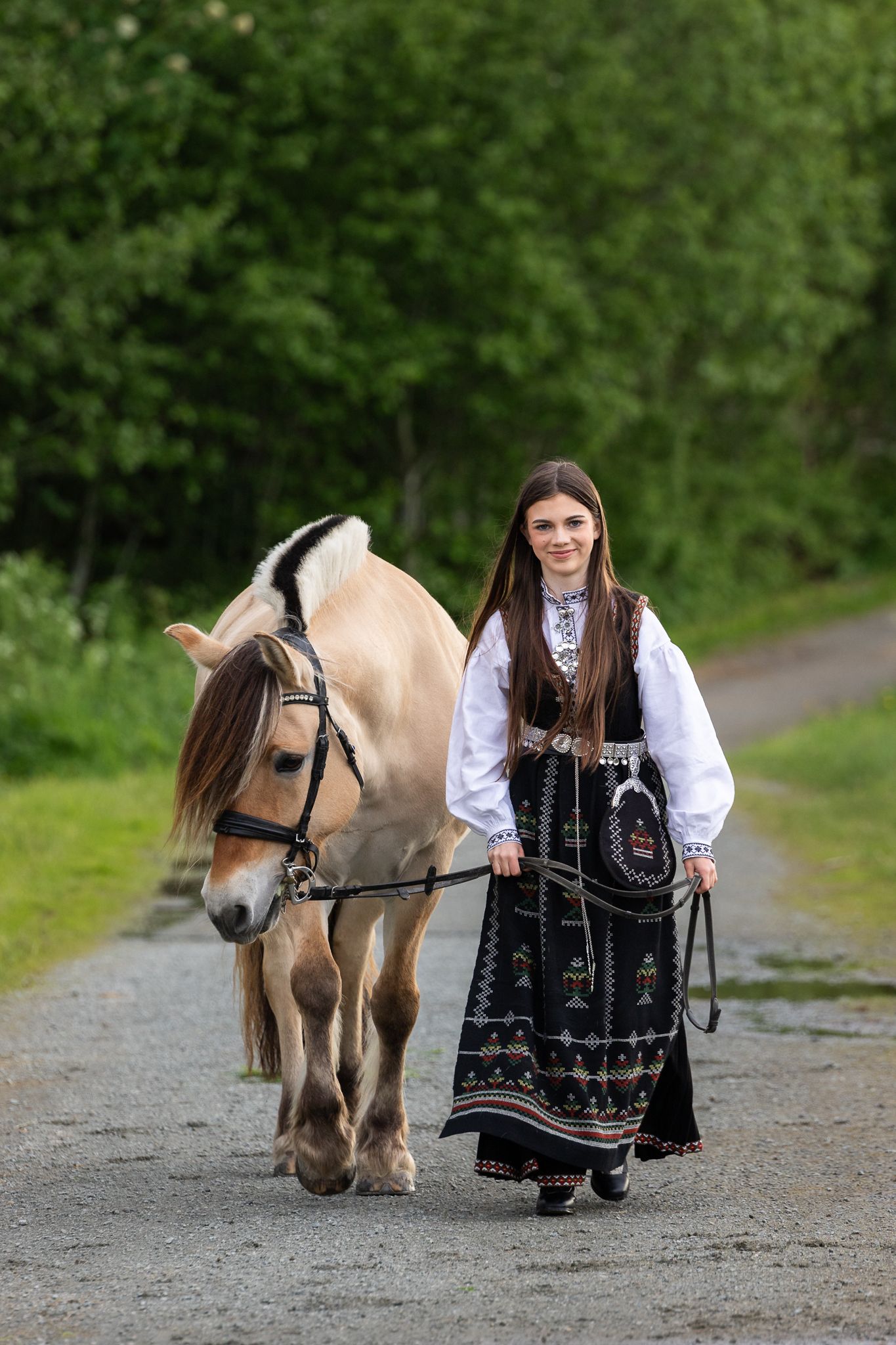 Young woman in traditional Norwegian bunad dress leading a palomino Fjord horse down a rural path.