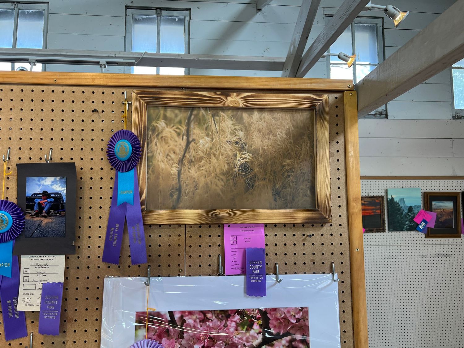 Wide view of art exhibition space with pegboard walls displaying framed pieces and awards.