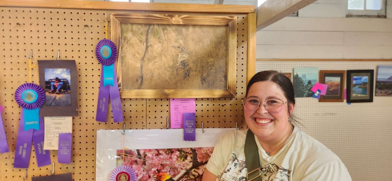 Display of framed artwork and ribbons on pegboard wall at an exhibition or fair.