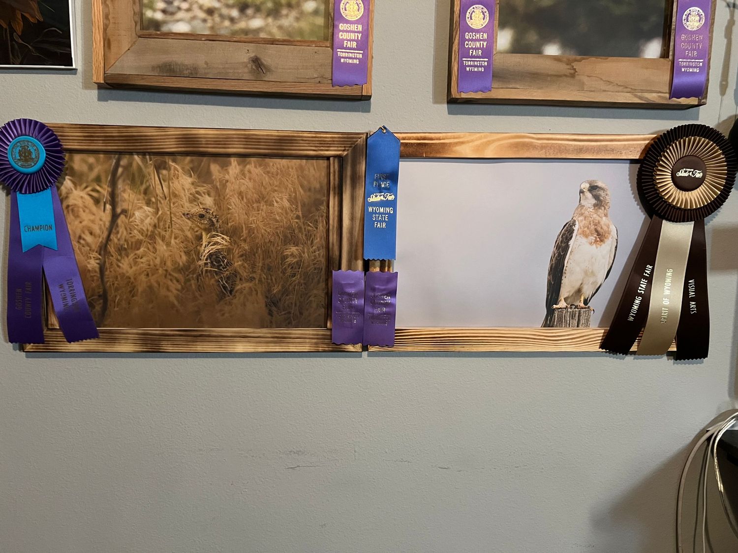 Gallery wall featuring multiple wooden frames and purple ribbons from an art competition.