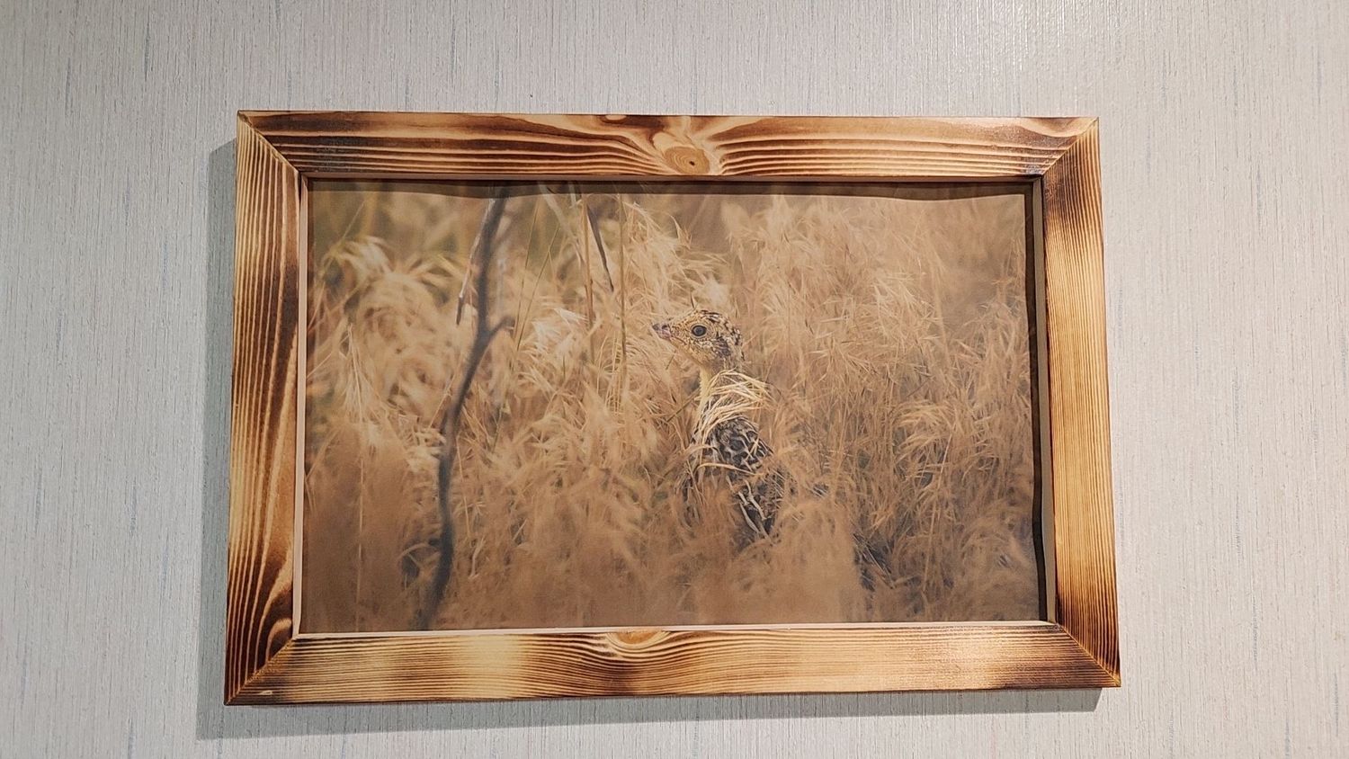 Rustic wooden frames mounted on white wall displaying artwork.