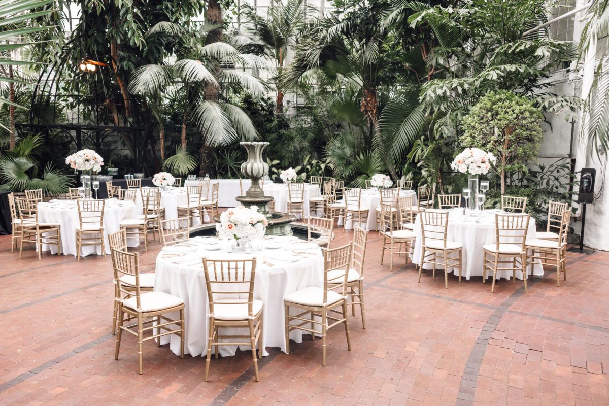 Franklin Park Conservatory & Botanical Gardens Tropical conservatory wedding reception space with white tables and natural palm decor.