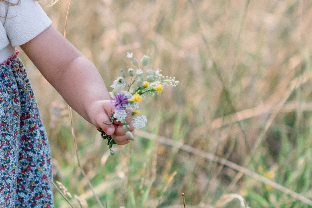 Close-up of hands holding delicate wildflowers in a sunny meadow.