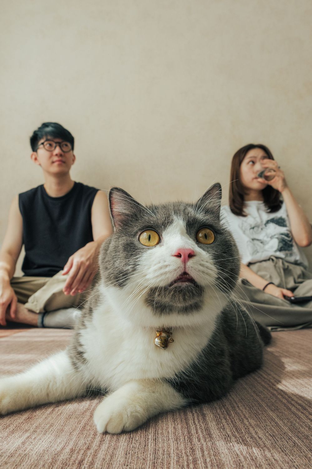 親子溫馨套餐