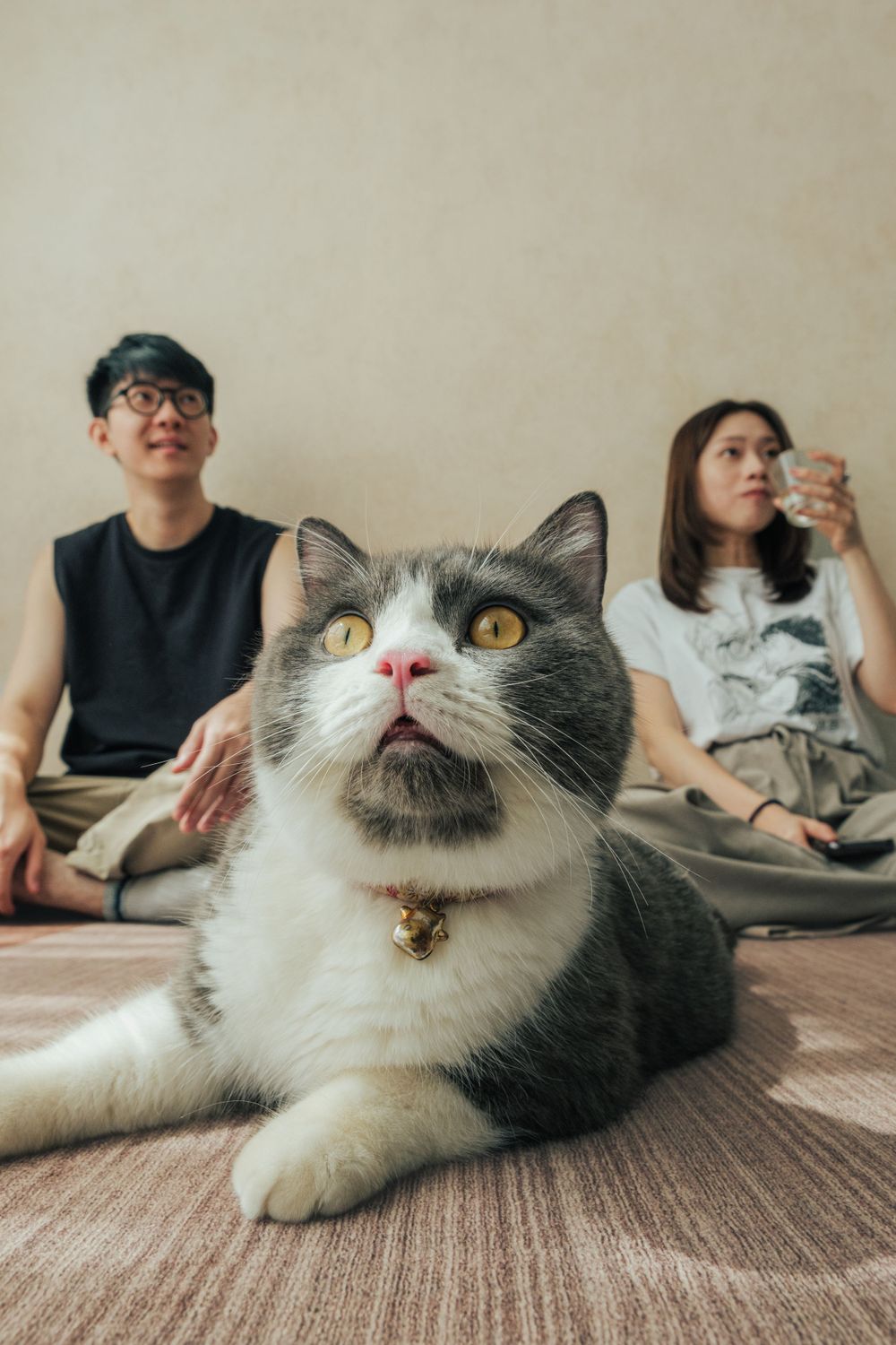 親子溫馨套餐
