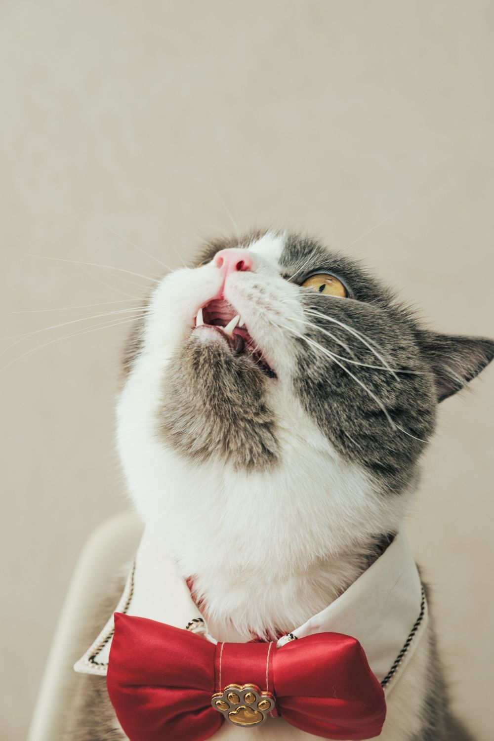 獨寵套餐