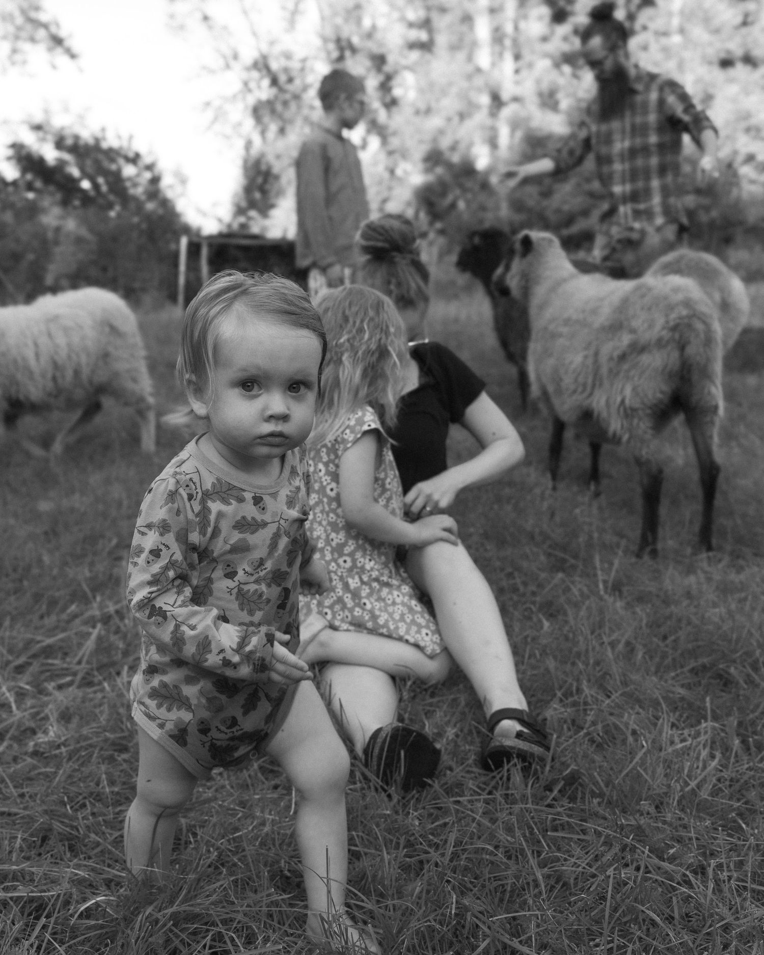 Mustavalkoinen vintage-kuva lapsista ulkona, taustalla lampaat laiduntavat maaseudulla.