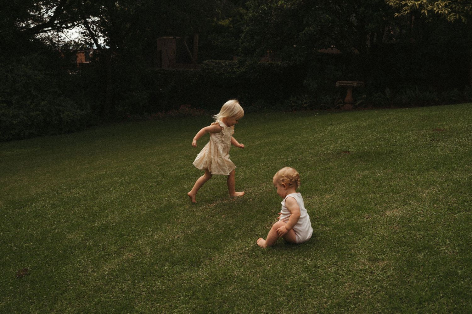 A series of playful moments captured on a grassy hillside in natural lighting.