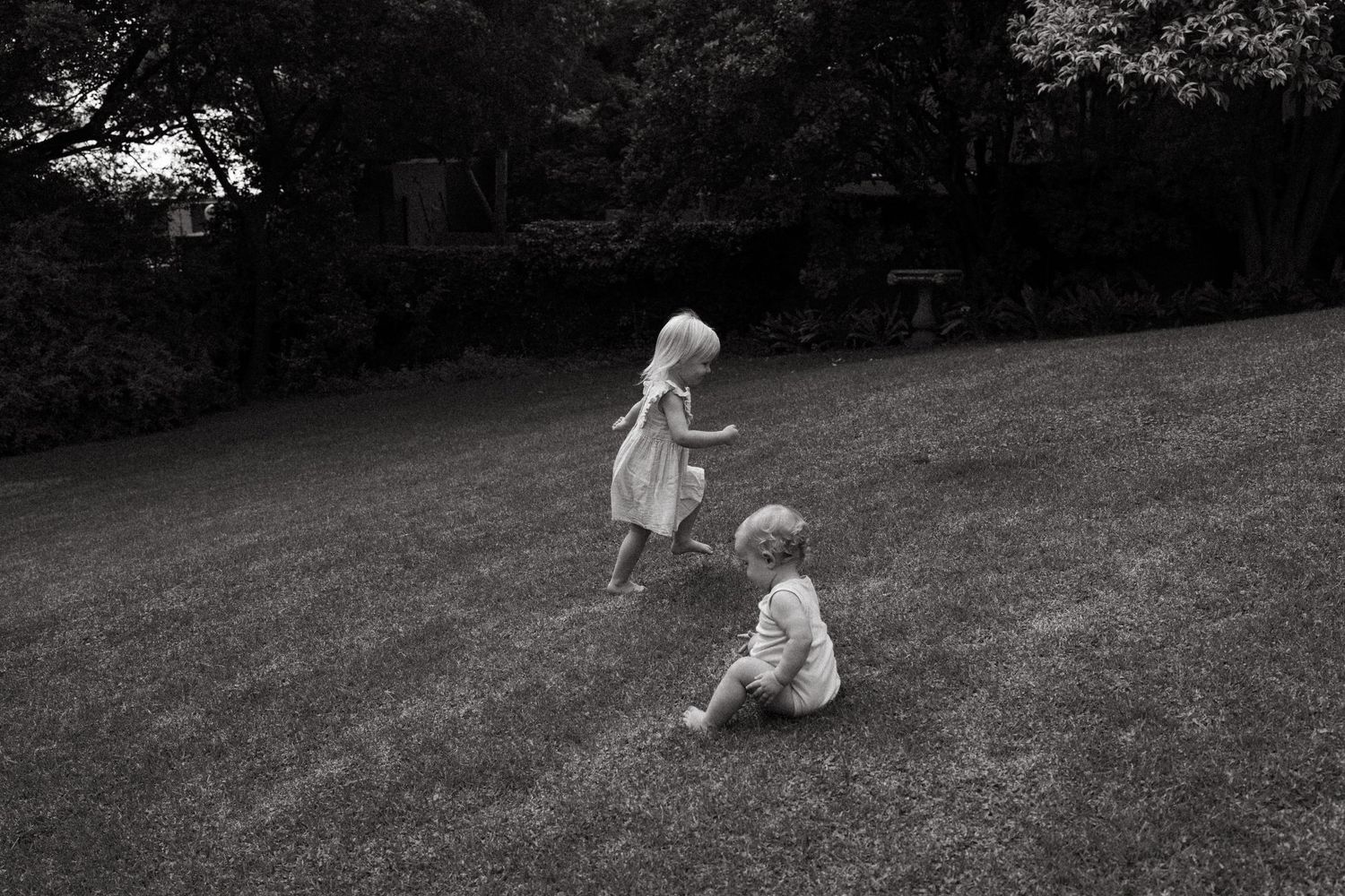 Black and white sequence showing movement and play on a grassy slope.