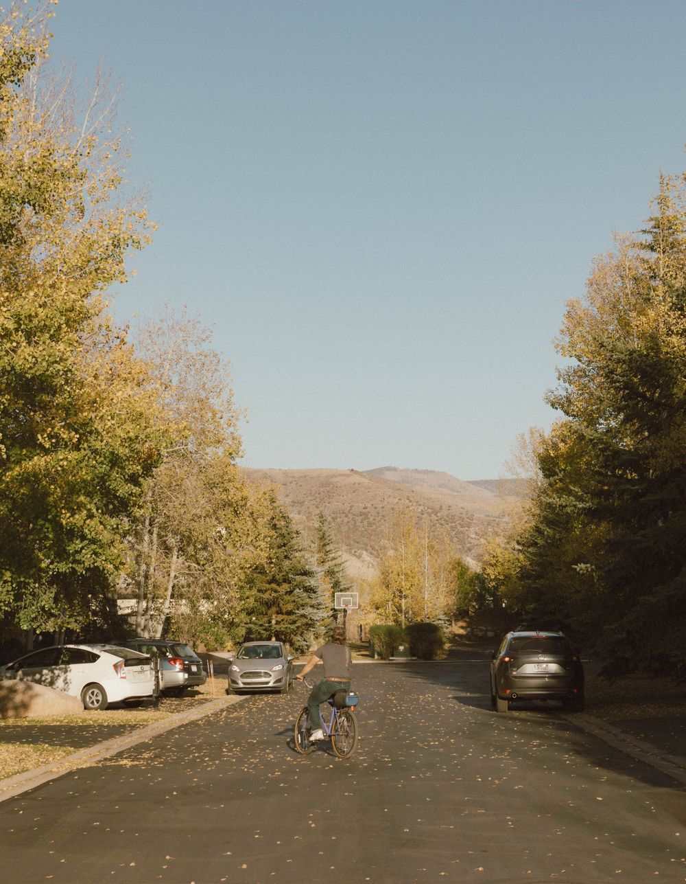 A person in a wheelchair rolls down a tree-lined residential street with mountains visible in the distance on an autumn day.