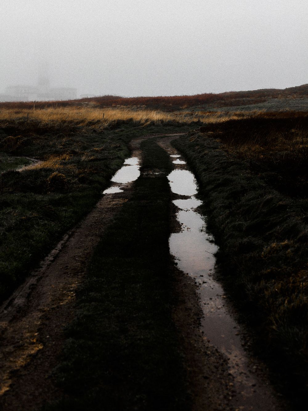 A muddy dirt path splits into two tracks through dark moorland under an overcast sky.