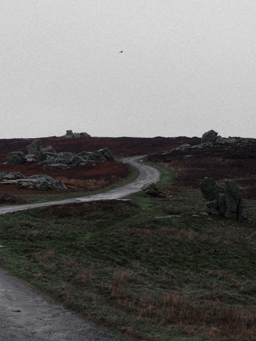 Gravel path curves through rugged coastal terrain with rocky outcrops under overcast skies.